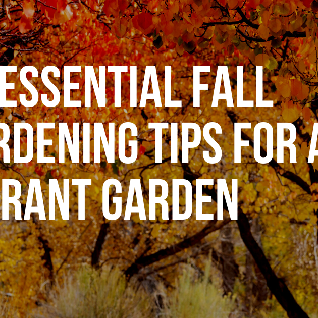 20 Essential Fall Gardening Tips for a Vibrant Autumn Garden