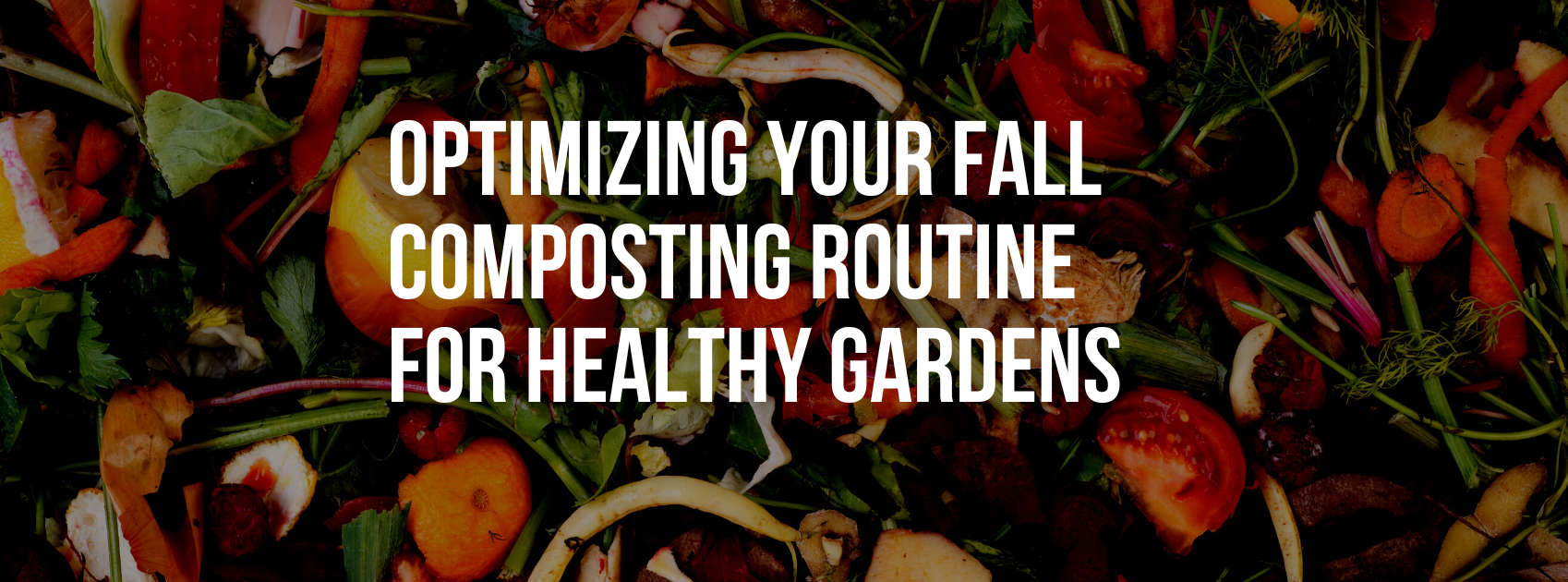 Optimizing Your Fall Composting Routine for Healthy Gardens