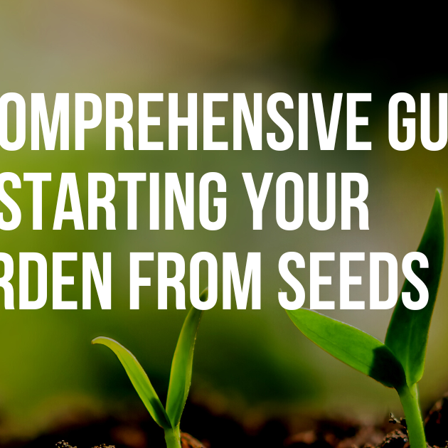 A Comprehensive Guide to Starting Your Garden from Seeds