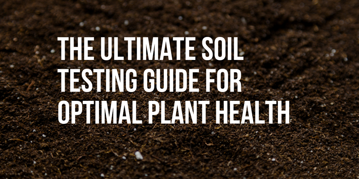 The Ultimate Soil Testing Guide for Optimal Plant Health