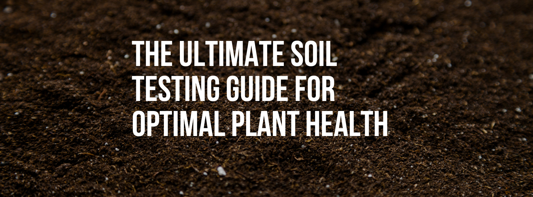 The Ultimate Soil Testing Guide for Optimal Plant Health