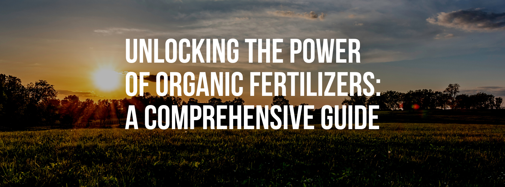 Unlocking the Power of Organic Fertilizers: A Comprehensive Guide