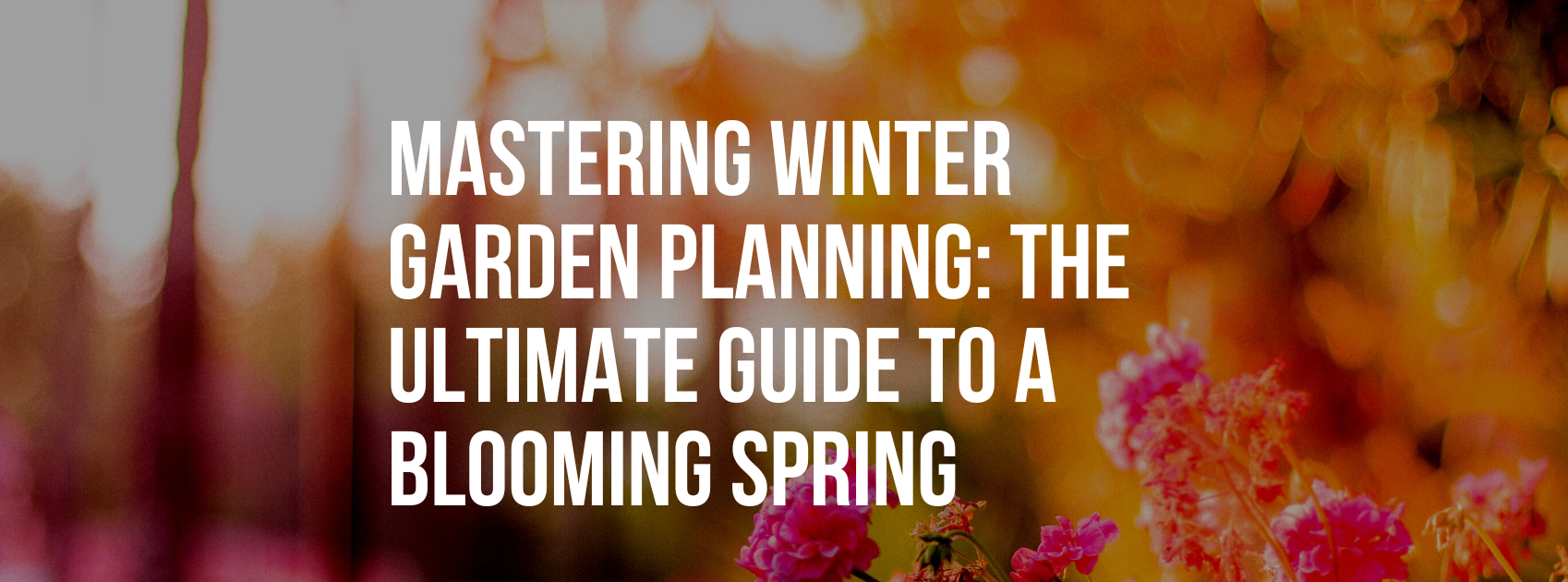 Mastering Winter Garden Planning: The Ultimate Guide to a Blooming Spring