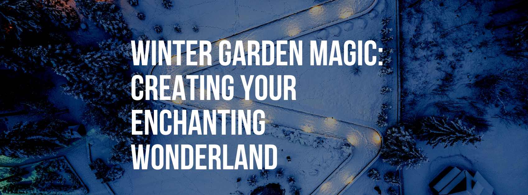 Winter Garden Magic: A Comprehensive Guide to Creating Your Enchanting Wonderland