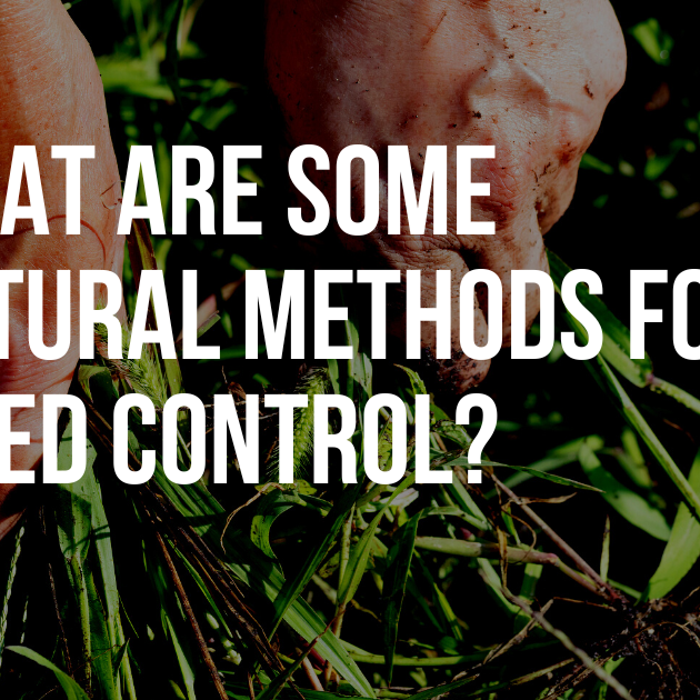 What are some natural methods for weed control?