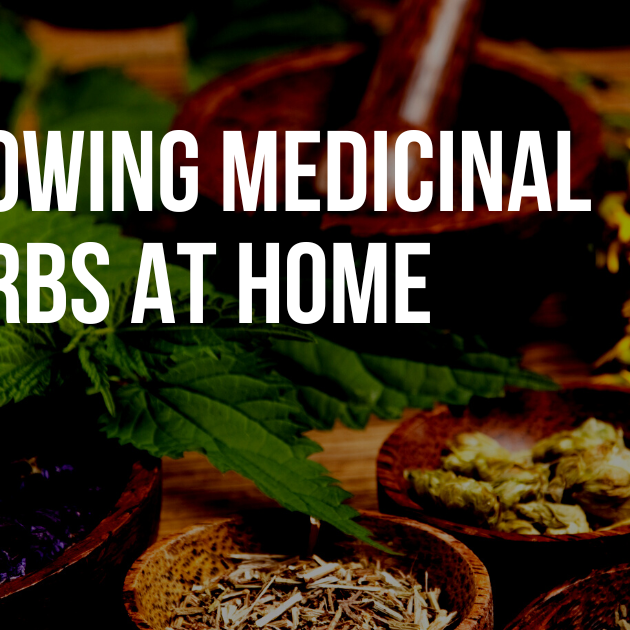 Growing Medicinal Herbs at Home: A Comprehensive Guide to Cultivation, Health Benefits, and DIY Remedies for Holistic Wellness