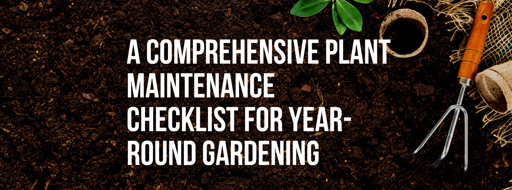 A Comprehensive Plant Maintenance Checklist for Year-Round Gardening