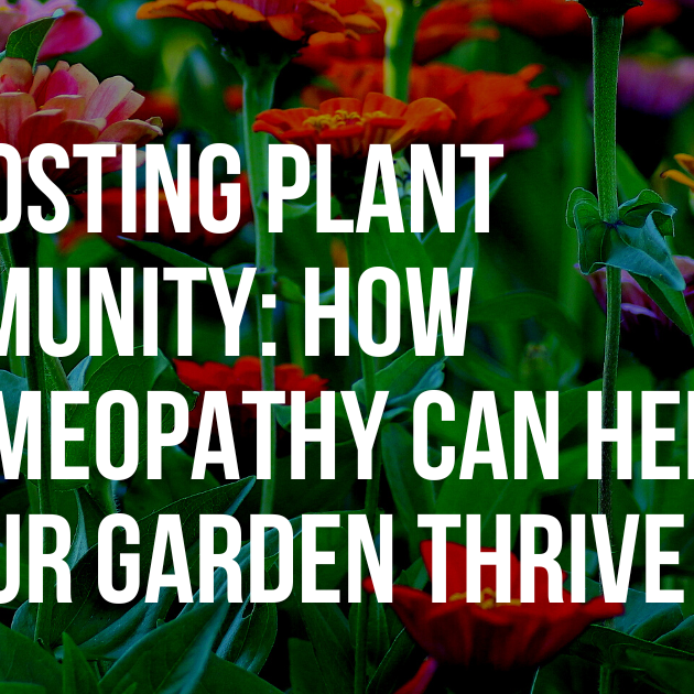 Boosting Plant Immunity: How Homeopathy Can Help Your Garden Thrive