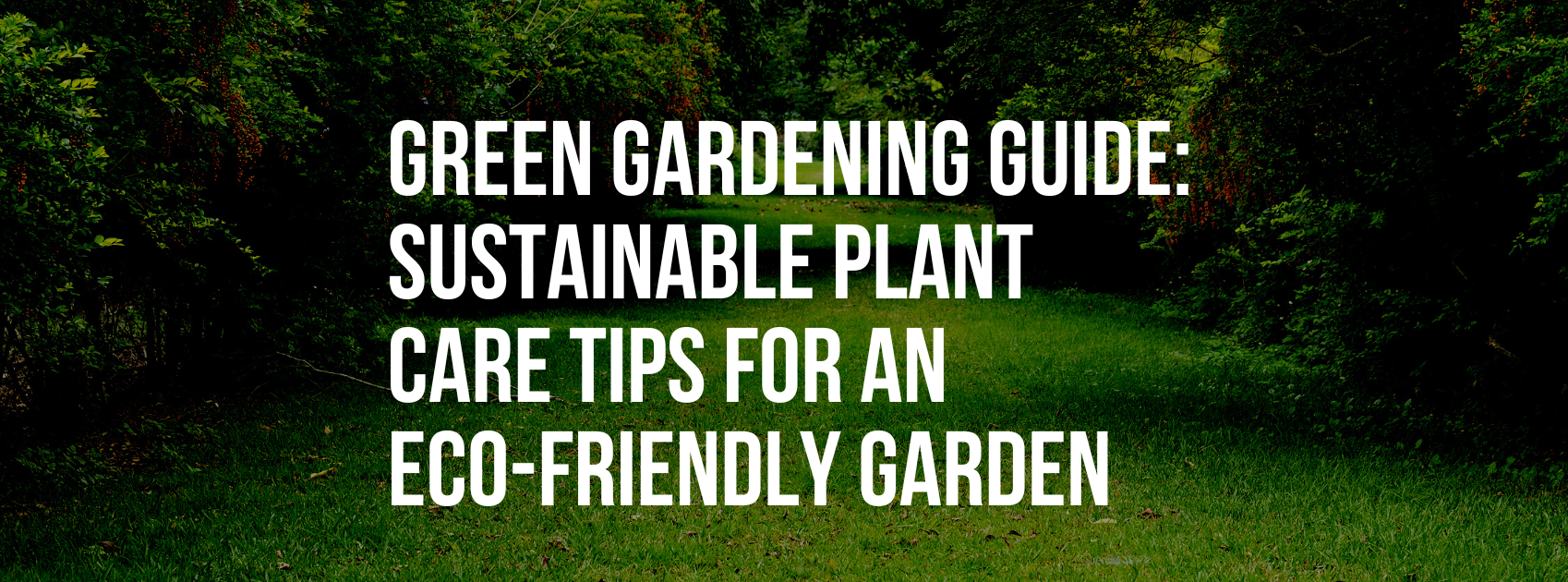Green Gardening Guide: Sustainable Plant Care Tips for an Eco-Friendly Garden