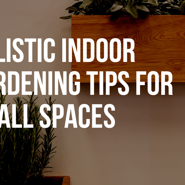 Holistic Indoor Gardening Tips for Small Spaces