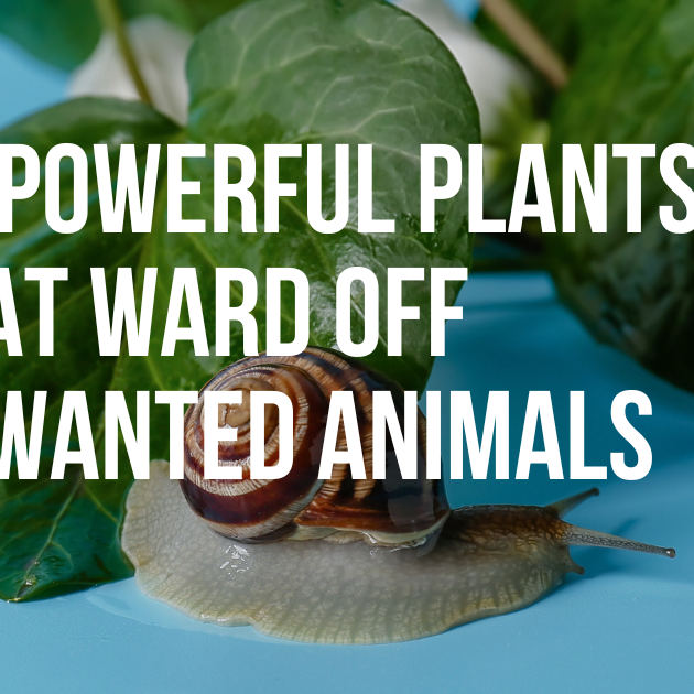 Guardian Plants: 20 Powerful Plants That Ward Off Unwanted Animals