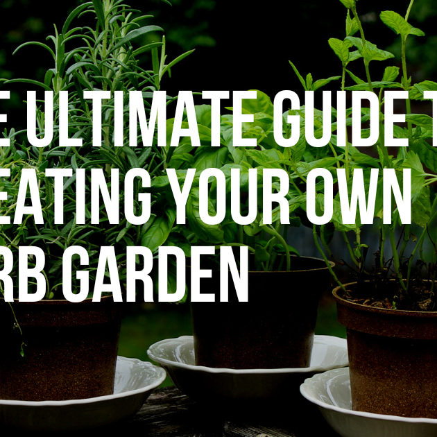 The Ultimate Guide to Creating Your Own Herb Garden