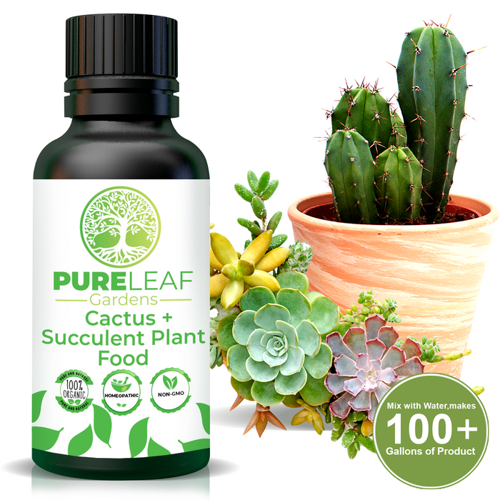 Pure Leaf Cactus Succulent Plant Superfood