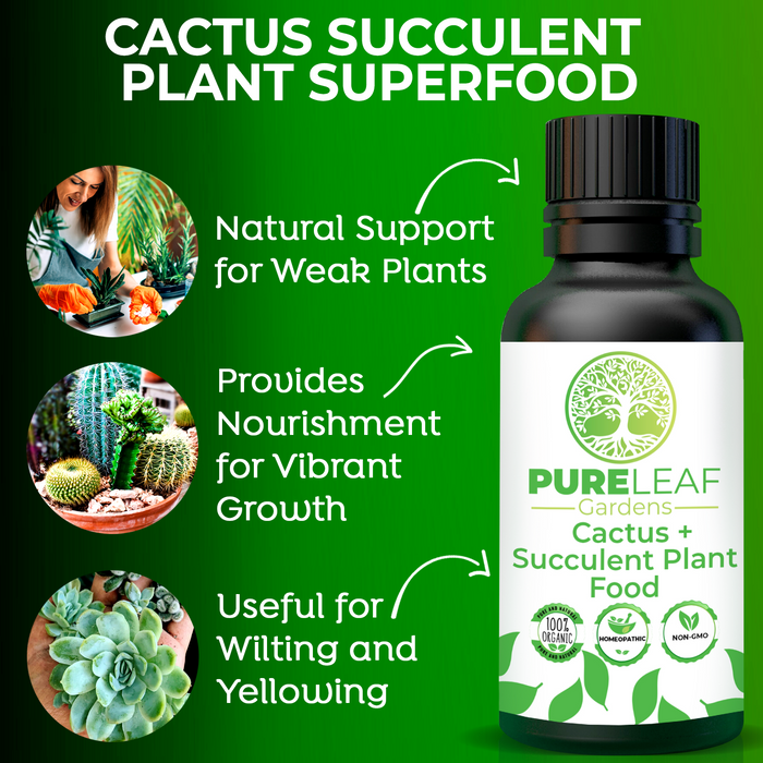 Pure Leaf Cactus Succulent Plant Superfood