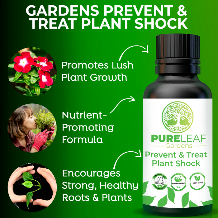 Pure Leaf Gardens Prevent & Treat Plant Shock