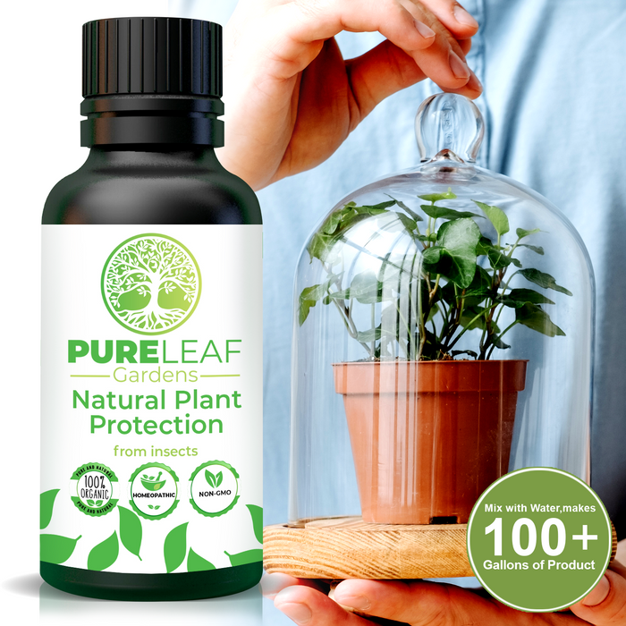 PureLeaf Gardens Natural Plant Protection