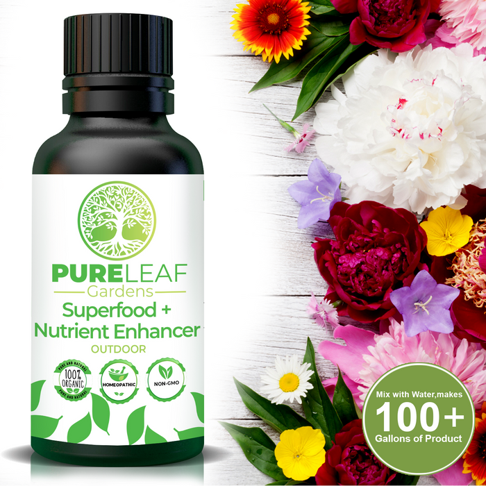 Pure Leaf Gardens Superfood + Nutrient Enhancer (OUTDOOR)