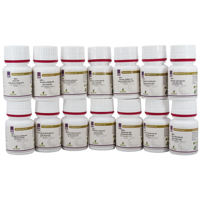 Bestmade’s Expanded Cell Salt Kit – 14 Advanced Mineral